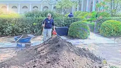 Incident in a Rose Garden