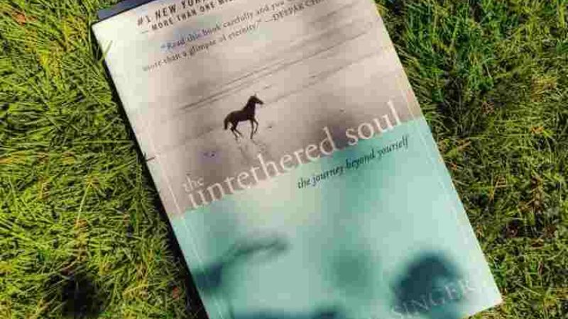 Untethered Soul Quotes