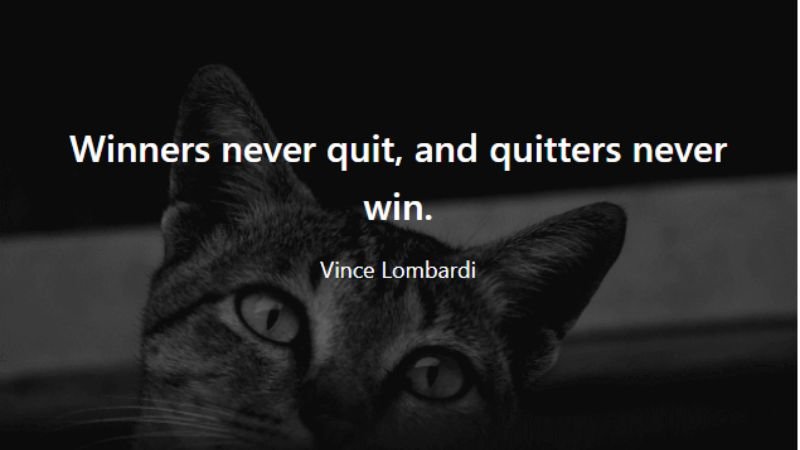 Vince Lombardi Quotes