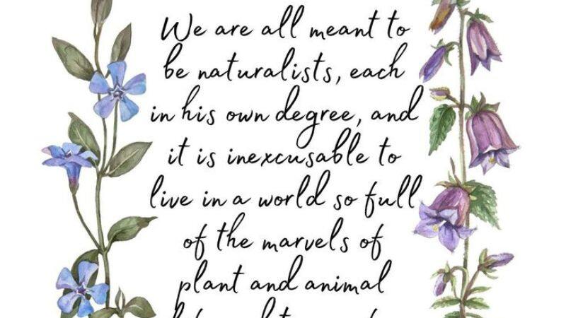 Charlotte Mason Quotes