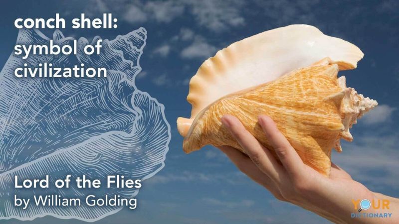 Symbolism of Conch Shell