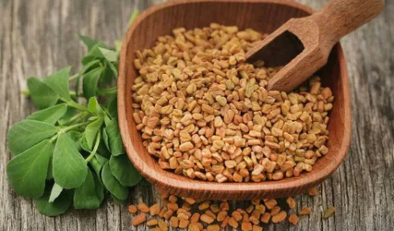 Ground Fenugreek (حلبة مطحونة)